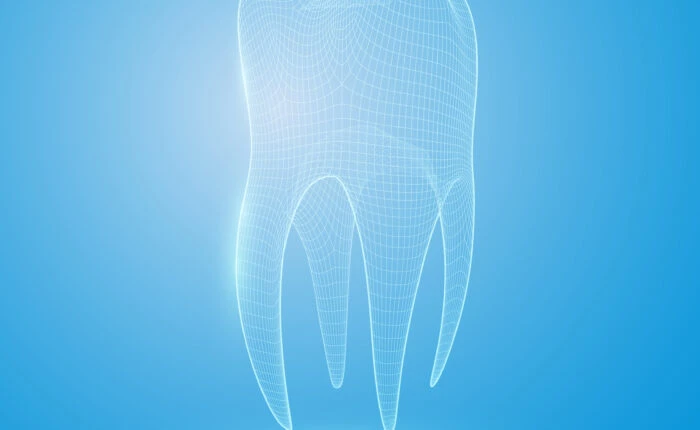 korzeń zęba